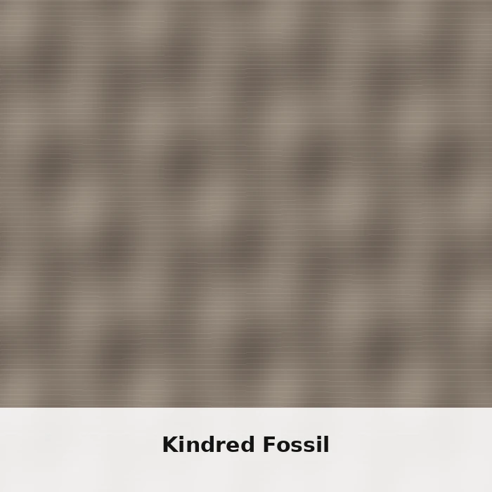 Kindred Fossil
